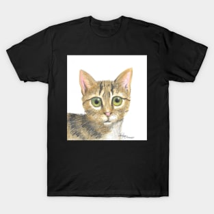 Cat 1 T-Shirt